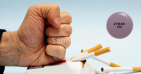 provigil xanax interactions provigil ebay