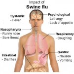 Effects of Swine Flu on the Lungs